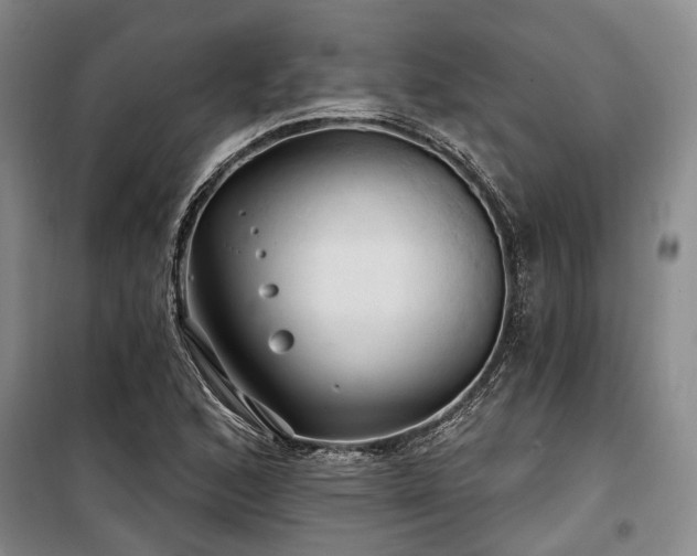 X0000100201168200805301303