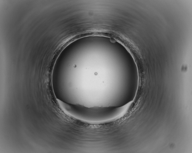 X0000100201169200805301303