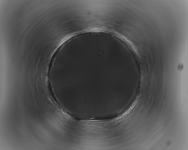 X0000100201170200805301303