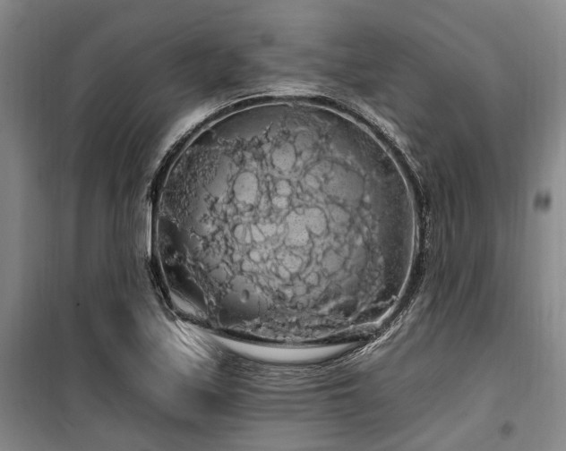 X0000100201171200805301303