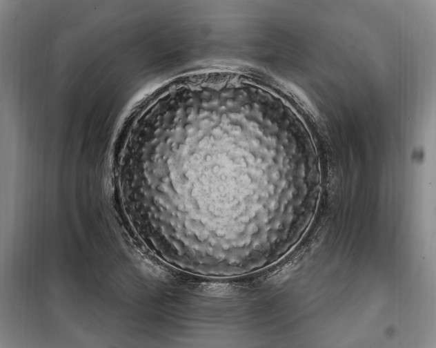 X0000100201172200805301303