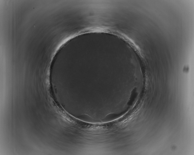 X0000100201174200805301303