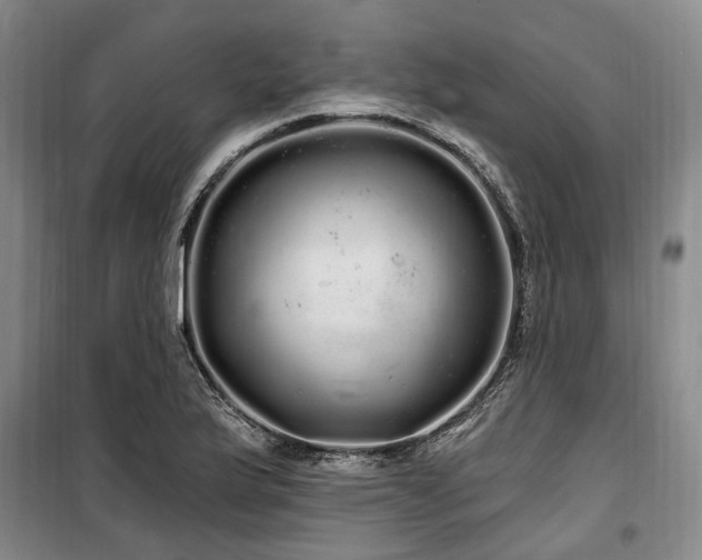 X0000100201175200805301303