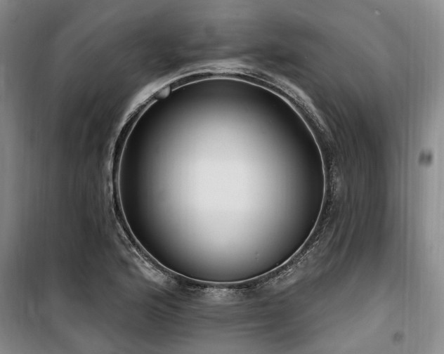 X0000100201176200805301303