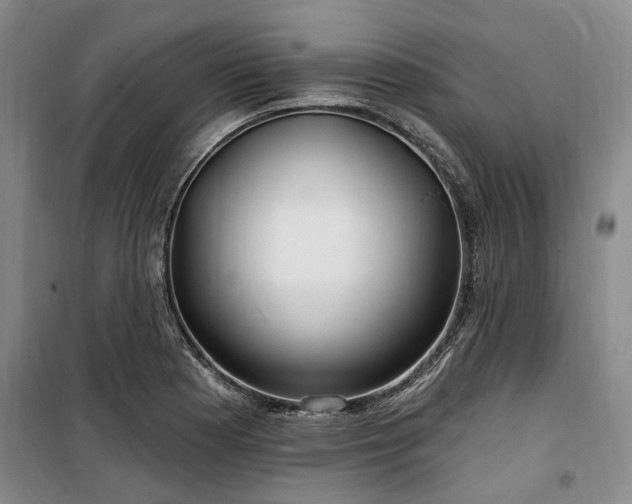 X0000100201177200805301303