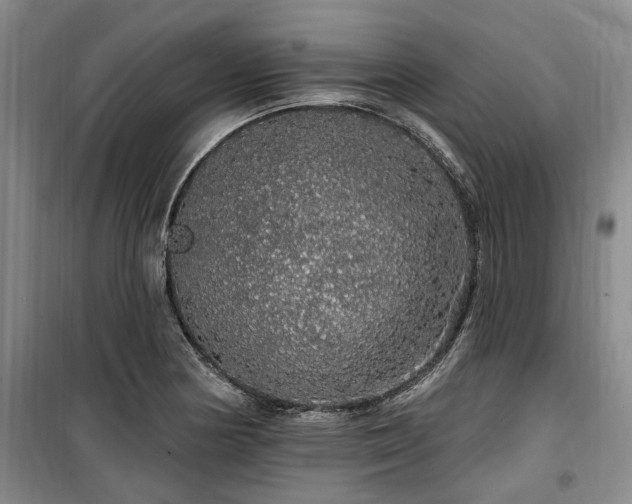 X0000100201178200805301303