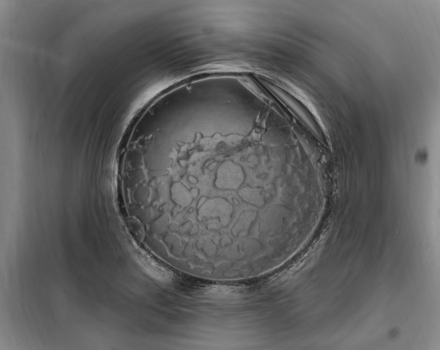 X0000100201179200805301303