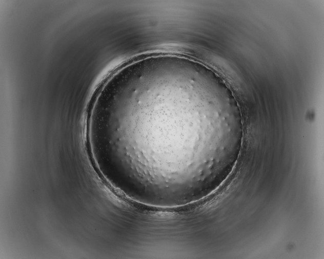 X0000100201180200805301303