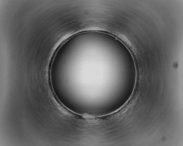 X0000100201181200805301303