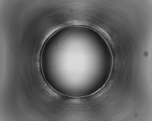 X0000100201182200805301303