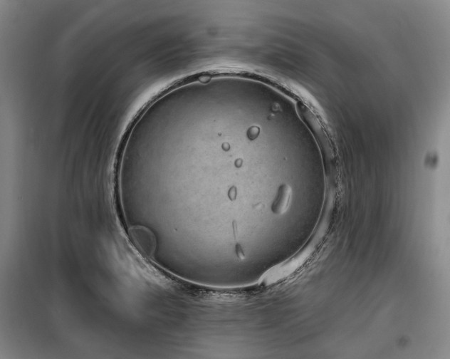 X0000100201183200805301303