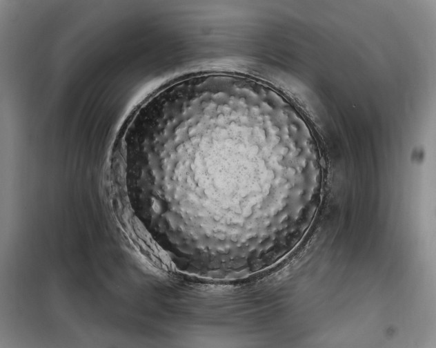 X0000100201184200805301303