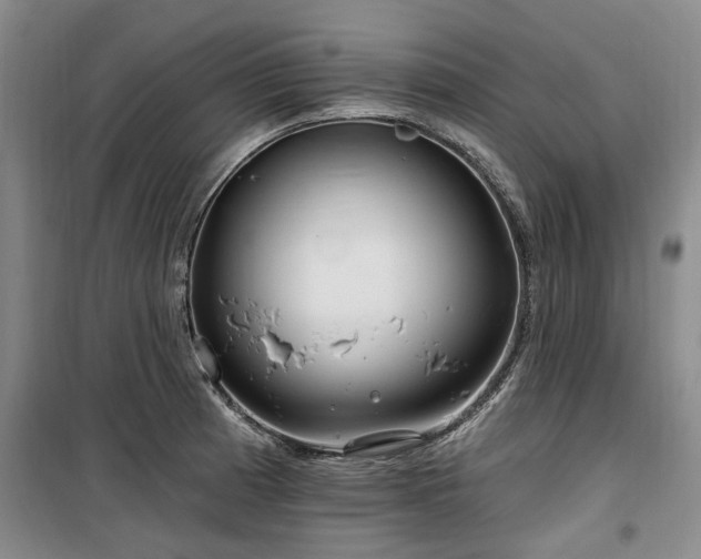 X0000100201185200805301303