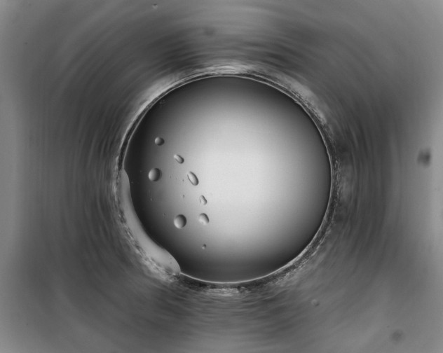 X0000100201186200805301303