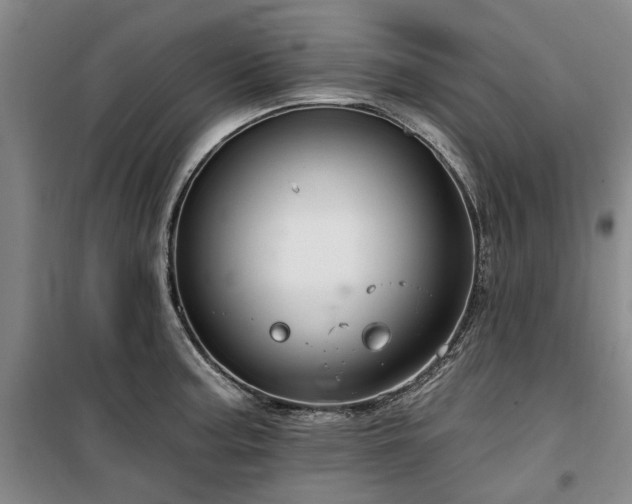 X0000100201187200805301303