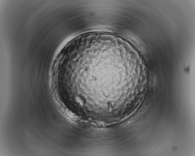 X0000100201188200805301303