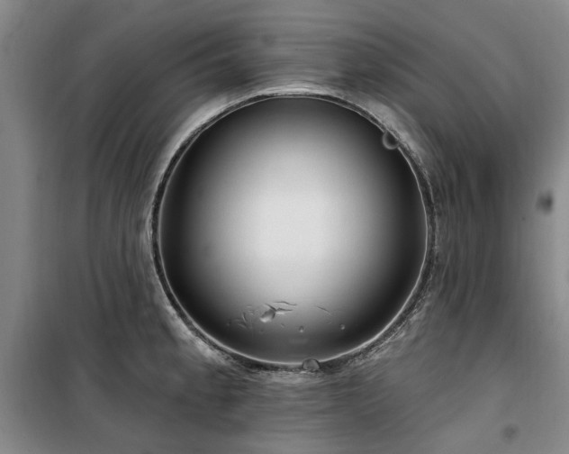 X0000100201189200805301303