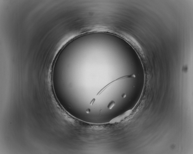 X0000100201190200805301303