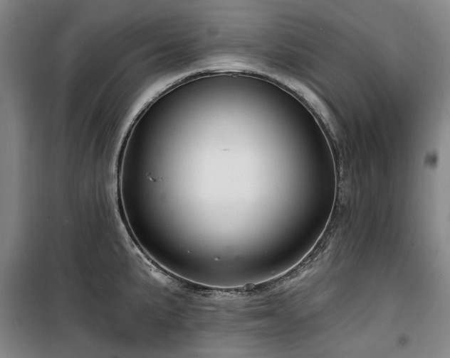 X0000100201191200805301303