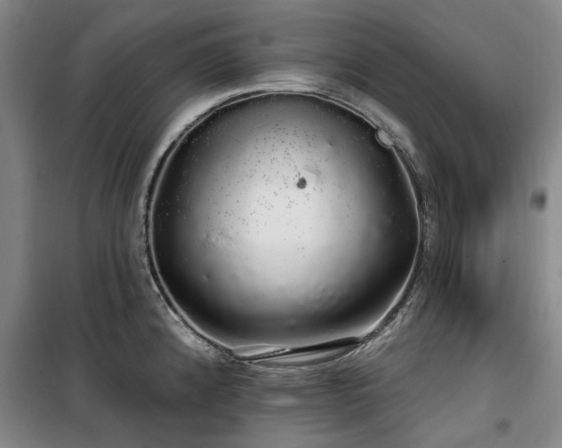 X0000100201192200805301303