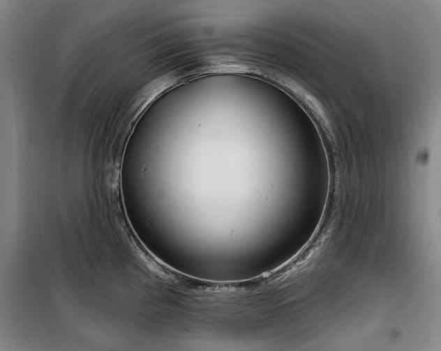 X0000100201193200805301303