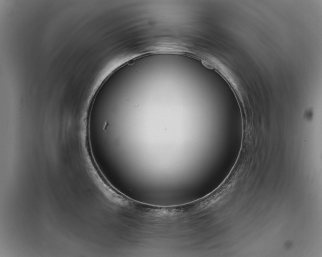 X0000100201195200805301303