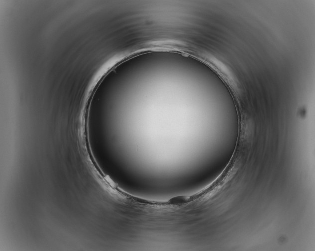 X0000100201196200805301303