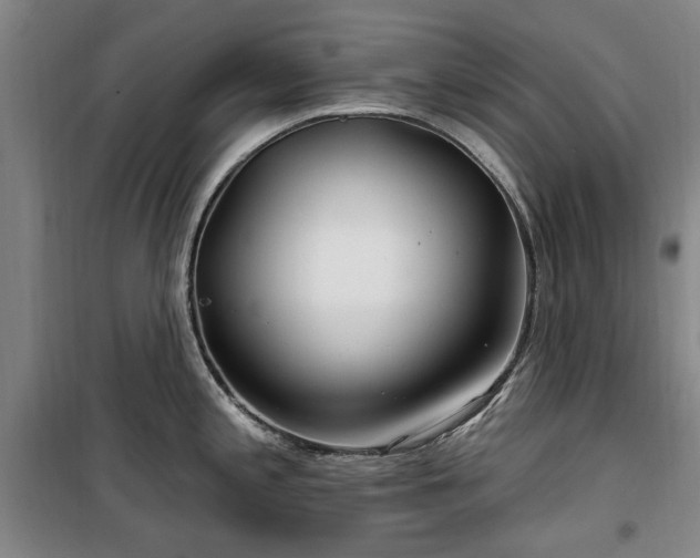 X0000100201197200805301303