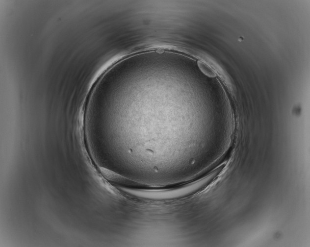 X0000100201198200805301303