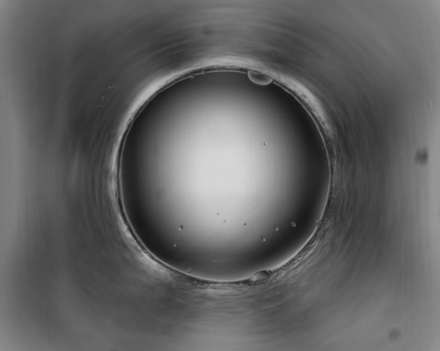 X0000100201199200805301303