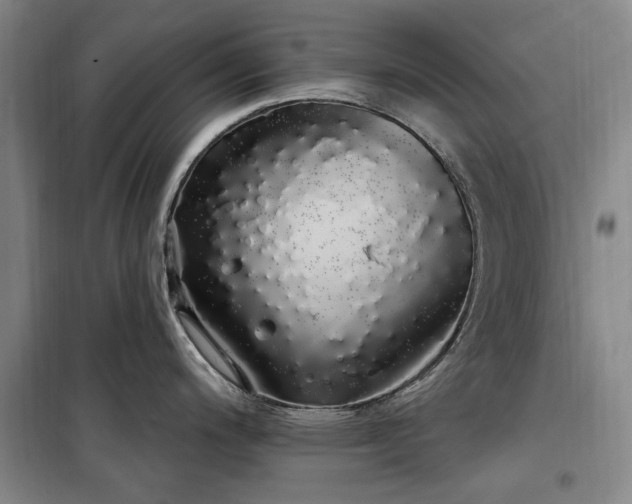 X0000100201200200805301303