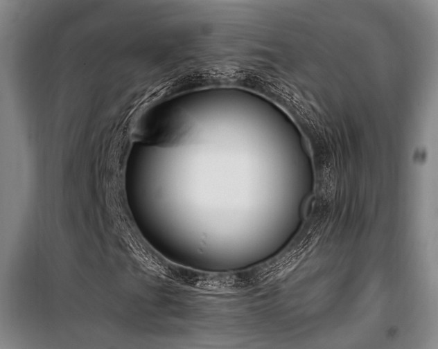 X0000100201201200805301302