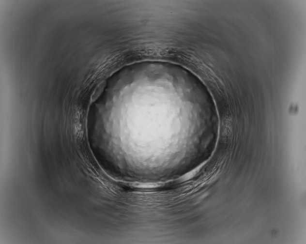 X0000100201202200805301302