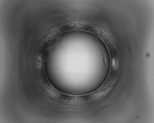 X0000100201203200805301302