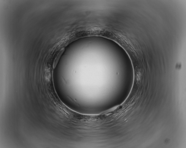 X0000100201204200805301302