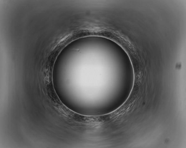 X0000100201205200805301302