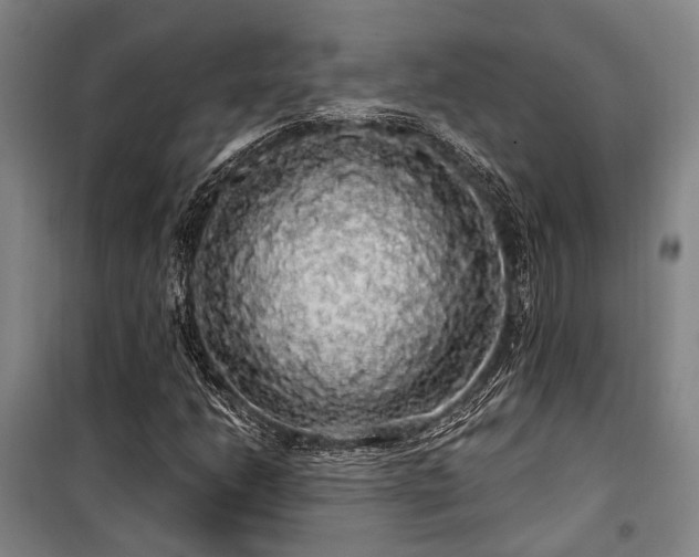 X0000100201206200805301302