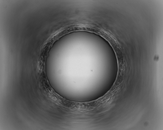 X0000100201207200805301302