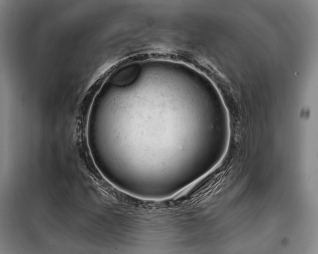 X0000100201208200805301302