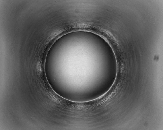 X0000100201209200805301302