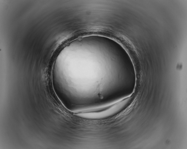 X0000100201210200805301302