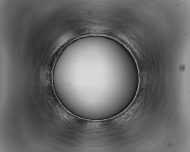 X0000100201211200805301302