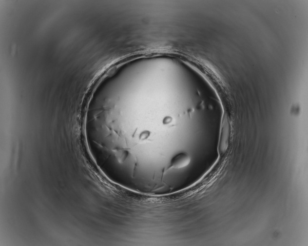 X0000100201212200805301302