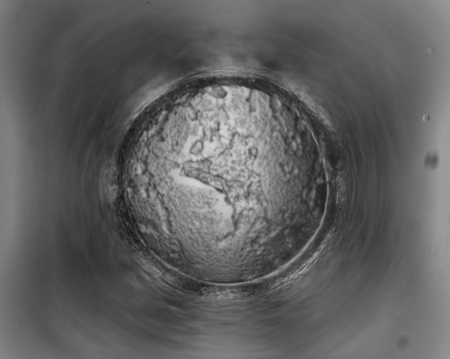 X0000100201213200805301302