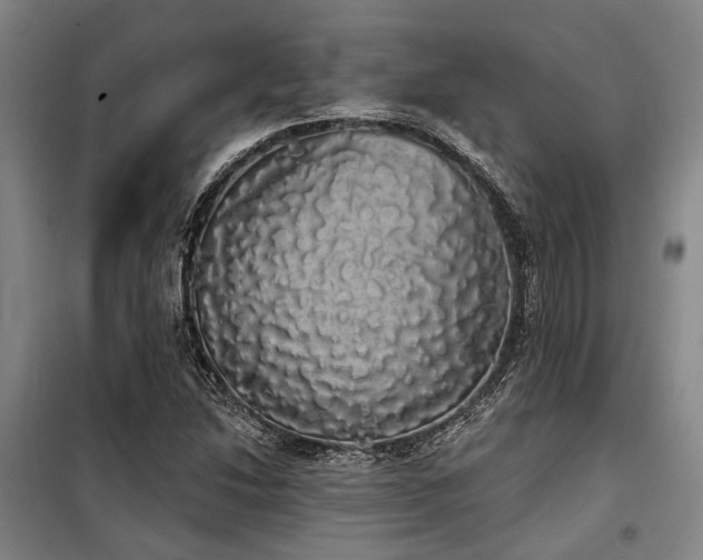 X0000100201214200805301302