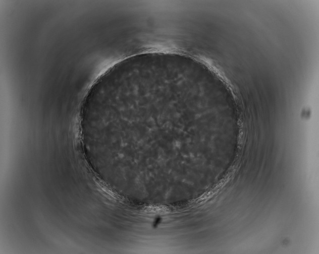 X0000100201215200805301302