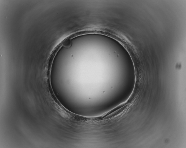 X0000100201216200805301302