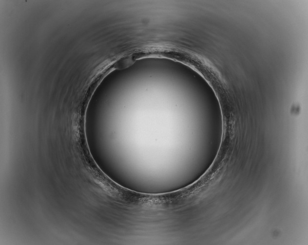 X0000100201217200805301302