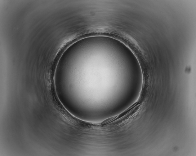 X0000100201218200805301302