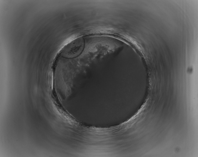 X0000100201219200805301302